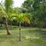  Land for sale in Aborlan, Palawan, Aborlan