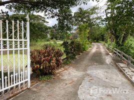 北标 Mittraphap House for Sale With Land in Muak Lek 5 卧室 屋 售 