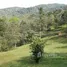  Land for sale in Costa Rica, Mora, San Jose, Costa Rica