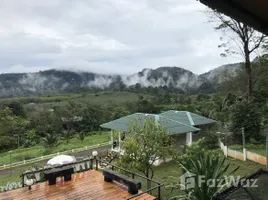 1 Bedroom House for rent in Thep Krasattri, Phuket, Thep Krasattri, Thalang, Phuket, Thailand