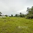  Land for sale in Phuket, Choeng Thale, Thalang, Phuket