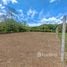  Terreno (Parcela) en venta en Mora, San José, Mora