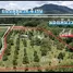  Land for sale in Thang Kwian, Rayong, Thang Kwian, Klaeng