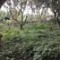  Terreno (Parcela) en venta en Alitagtag, Calabarzon, Alitagtag