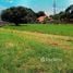  Land for sale in Thailand, Nong Han, San Sai, Chiang Mai, Thailand