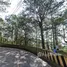  Terrain for sale in le Philippines, Baguio City, Benguet, Cordillera, Philippines