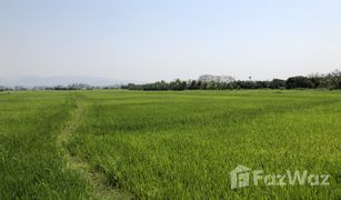 N/A Grundstück zu verkaufen in Khi Lek, Chiang Mai 