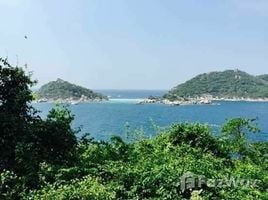 在Ko Tao, Ko Pha-Ngan出售的 土地, Ko Tao