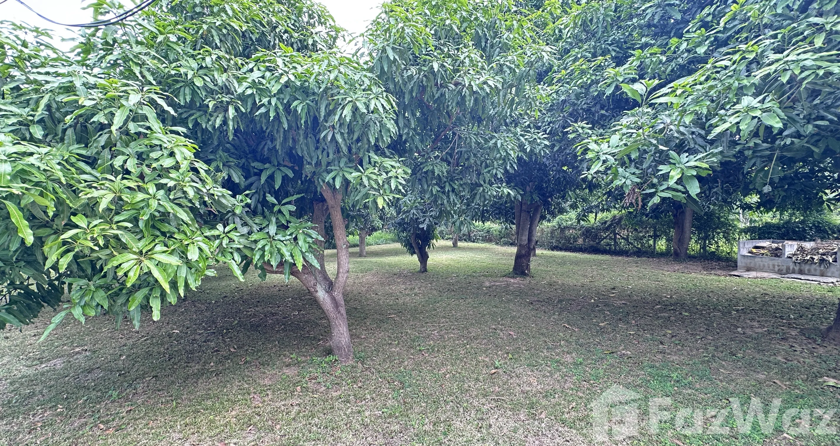 Mango Hill land plots in Sam Roi Yot
