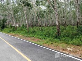 ขายที่ดิน ใน ศรีสุนทร, ภูเก็ต, ศรีสุนทร