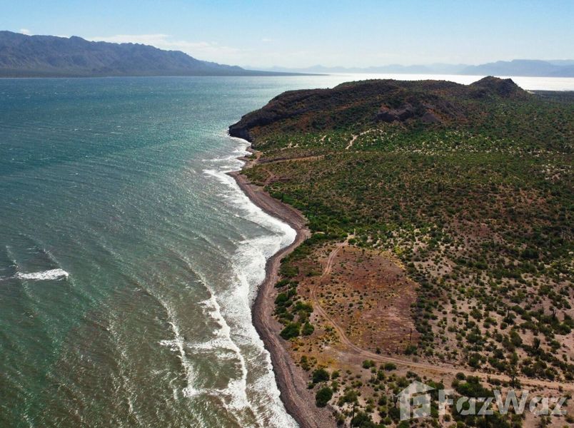 30 Best Land Plots for Sale in Baja California Sur