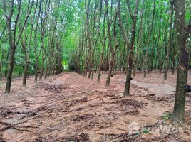 ナン で売却中 土地区画, ナム・ケーン, Phu Phiang, ナン