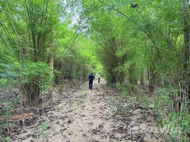  Terreno (Parcela) en venta en Ratchaburi, Ang Hin, Pak Tho, Ratchaburi