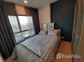 คอนโด 1 ห้องนอน ให้เช่า ในโครงการ The Tree Sukhumvit 71-Ekamai, สวนหลวง, สวนหลวง