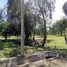  Terreno (Parcela) en venta en Alajuela, San Mateo, Alajuela