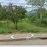  Terreno (Parcela) en venta en Puerto Princesa City, Mimaropa, Puerto Princesa City, Palawan