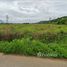  Land for sale in Thailand, Chiang Dao, Chiang Dao, Chiang Mai, Thailand