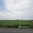  Land for sale in Thailand, Wang Muang, Wang Muang, Saraburi, Thailand