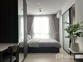 อพาร์ทเม้นท์ 1 ห้องนอน ให้เช่า ในโครงการ โนเบิล นิว ครอส คูคต , คูคต, ลำลูกกา