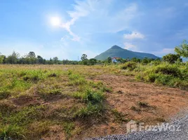 ขายที่ดิน ใน คลองไผ่, นครราชสีมา, คลองไผ่, สีคิ้ว, นครราชสีมา