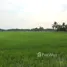 在甘烹碧出售的 土地, Songtham, Mueang Kamphaeng Phet, 甘烹碧