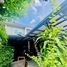 3 Bedroom House for rent at Chaiyapruk Pinklao-Kanchanapisek, Bang Yai, Bang Yai, Nonthaburi