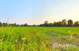  bedroom Land for sale at in , Cambodia 