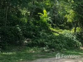  Land for sale in Bang Tao Beach, Choeng Thale, Choeng Thale