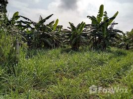  Land for sale in Wang Sai, Pak Chong, Wang Sai