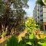1 Bedroom Apartment for sale at The Title Serenity Naiyang, Sakhu, Thalang