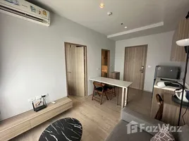 คอนโด 1 ห้องนอน ให้เช่า ในโครงการ อัลติจูด ยูนิคอร์น สาทร-ท่าพระ, ตลาดพลู