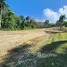 Terrain à vendre à San Felipe De Puerto Plata, Puerto Plata, San Felipe De Puerto Plata