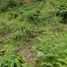  Terreno (Parcela) en venta en Puerto Quito, Pichincha, Puerto Quito, Puerto Quito