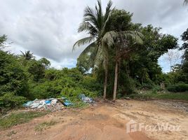 ขายที่ดิน ใน บางกุ้ง, สุราษฎร์ธานี, บางกุ้ง