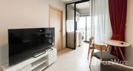 ยูนิตมือสองและให้เช่า