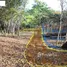  Terrain for sale in FazWaz.fr, La Pintada, La Pintada, Cocle, Panamá