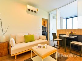 1 Bedroom Condo for rent in Choeng Thale, Phuket Hill Myna Condomium