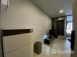 คอนโด 1 ห้องนอน ให้เช่า ในโครงการ แอสปาย อ่อนนุช สเตชั่น, พระโขนง, คลองเตย