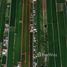 Land for sale in Bueng Bon, Pathum Thani, Bueng Bon, Nong Suea