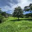  Земельный участок for sale in Khaem Son, Phetchabun, Khaem Son, Khao Kho, Phetchabun