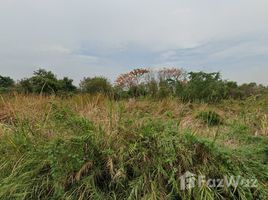  Land for sale in Lam Pla Thio, Lat Krabang, Lam Pla Thio