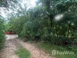 ขายที่ดิน ใน บ่อผุด, สุราษฎร์ธานี, บ่อผุด, เกาะสมุย, สุราษฎร์ธานี