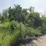  Land for sale in Thap Tai, Hua Hin, Thap Tai