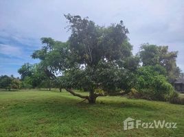  Grundstück zu verkaufen in Sam Roi Yot, Prachuap Khiri Khan, Sam Roi Yot, Sam Roi Yot, Prachuap Khiri Khan