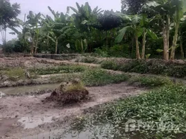  Terreno (Parcela) en venta en Tailandia, Lipa Noi, Koh Samui, Surat Thani, Tailandia