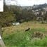  Land for sale in Cuenca Azuay, Cuenca, Cuenca, Azuay
