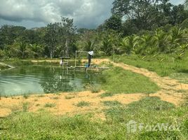  Terreno (Parcela) en venta en Rio Preto Da Eva, Amazonas, Rio Preto Da Eva