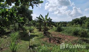 N/A Grundstück zu verkaufen in Khok Kloi, Phangnga 