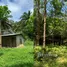  Land for sale in Bang Hin, Ranong, Bang Hin
