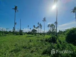  토지을(를) Nakhon Si Thammarat에서 판매합니다., Thung Sai, 시콘, Nakhon Si Thammarat